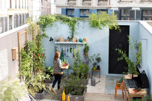 Comment aménager un petit jardin urbain pour en faire un véritable havre de paix ?
